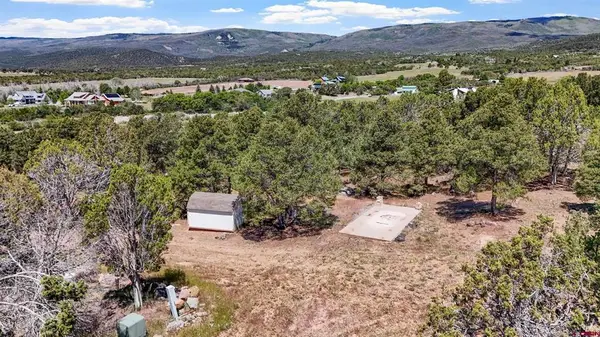 20212 2300 Road, Cedaredge, CO 81413