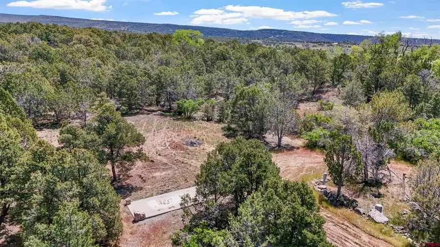 20212 2300 Road, Cedaredge, CO 81413 - #2