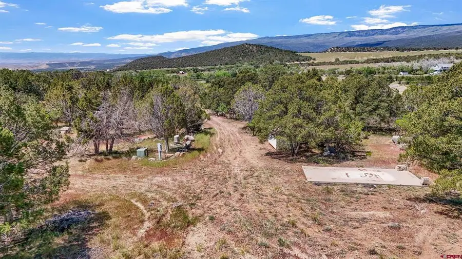 20212 2300 Road, Cedaredge, CO 81413 - #3