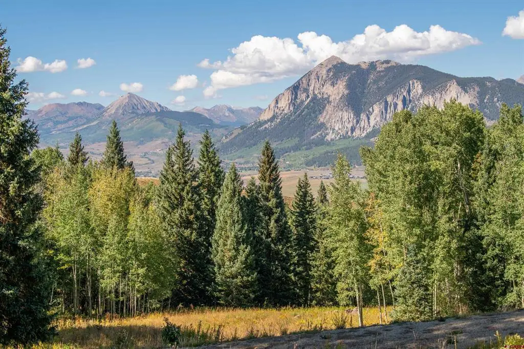 794 Red Mountain Ranch Lower Loop, Crested Butte, CO 81224 - #1