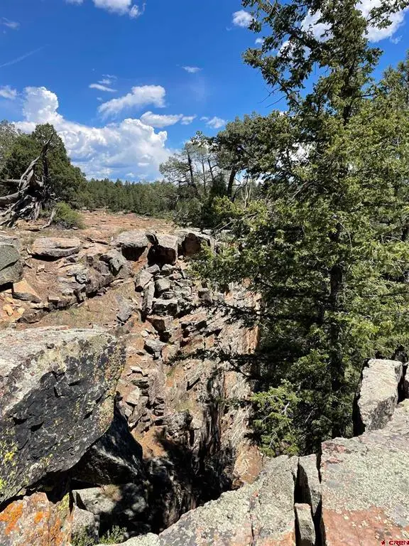 XX W Hwy 160, Pagosa Springs, CO 81147 - #3