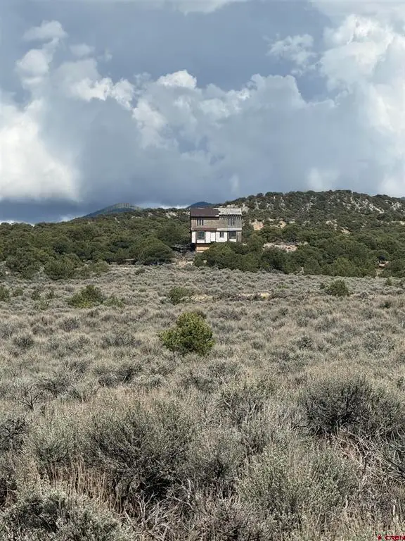 16941 Luke Road, Fort Garland, CO 81133 - #2