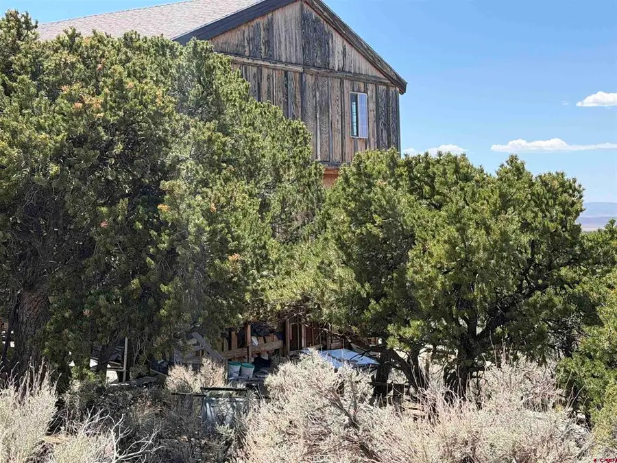 16941 Luke Road, Fort Garland, CO 81133 - #3