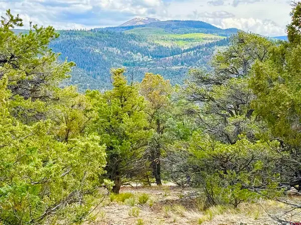 207 Wolf Creek Rd, South Fork, CO 81154