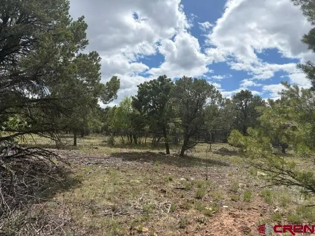 Lot 4 Tower Road North, Ridgway, CO 81432 - #1