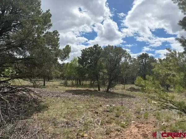 Lot 4 Tower Road North, Ridgway, CO 81432