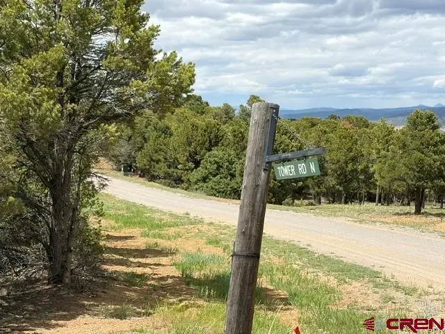 Lot 4 Tower Road North, Ridgway, CO 81432 - #2