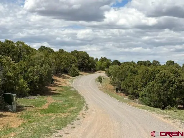 Lot 4 Tower Road North, Ridgway, CO 81432 - #3