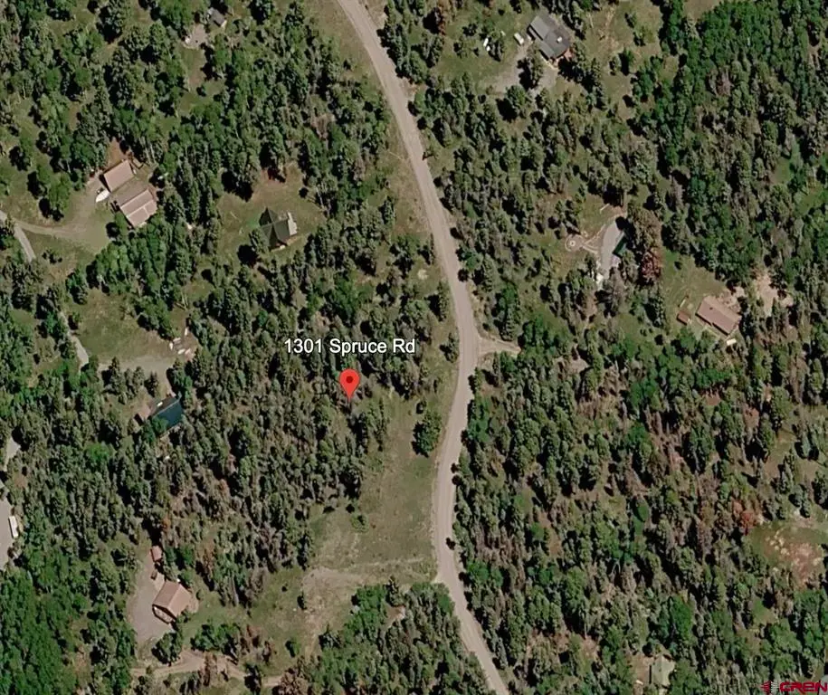 1301 Spruce Road, Cimarron, CO 81220 - #1
