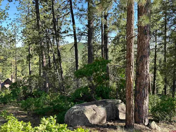 72 Cabin Creek Drive, Durango, CO 81301