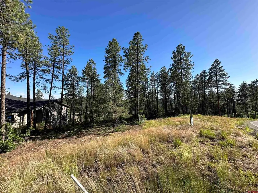 72 Cabin Creek Drive, Durango, CO 81301 - #2