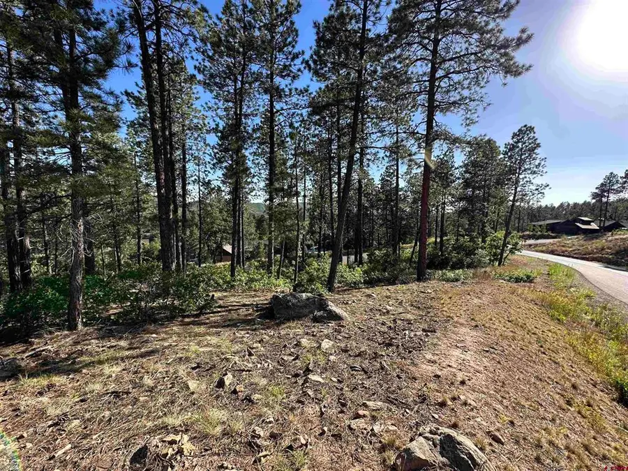 72 Cabin Creek Drive, Durango, CO 81301 - #3