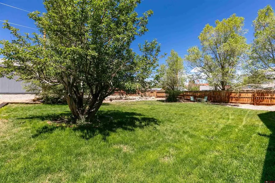 575 8th Street, Del Norte, CO 81132 - #3