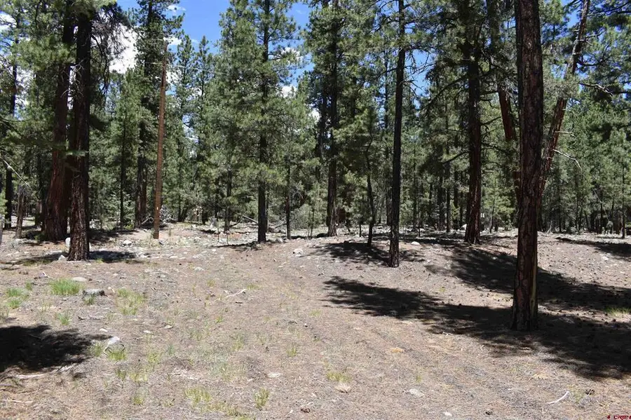 80 Ranch Road, Bayfield, CO 81122 - #3