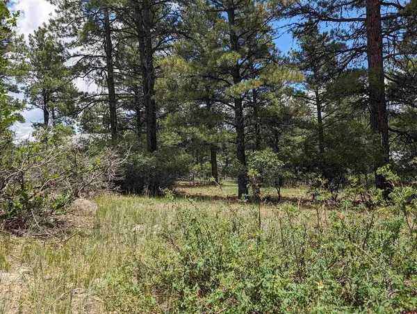 90 Balfour Court, Pagosa Springs, CO 81147
