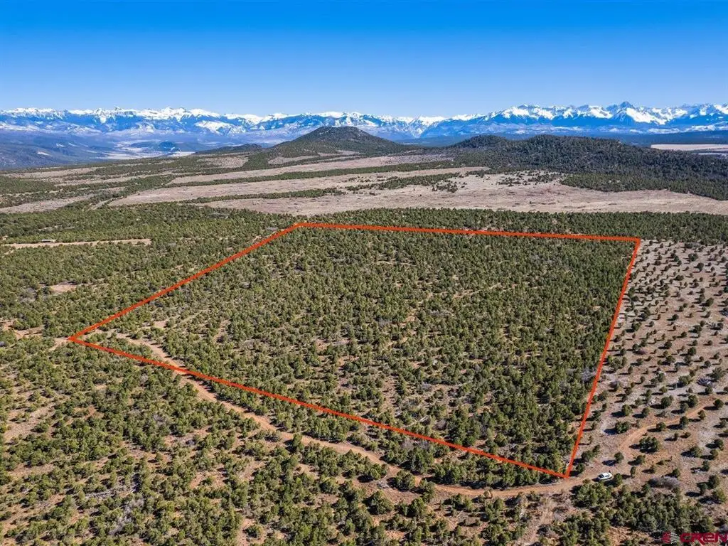 TBD Pinion Ridge Road, Montrose, CO 81403 - #1