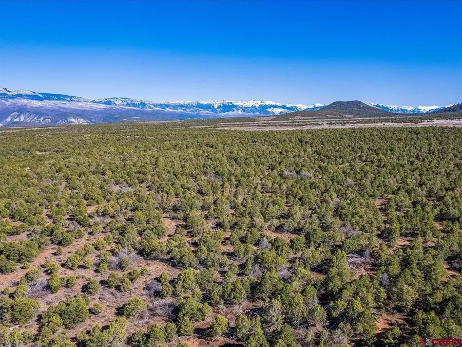 TBD Pinion Ridge Road, Montrose, CO 81403 - #3