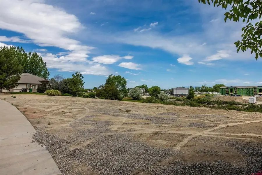 Lot 25 Otter Pond Circle, Montrose, CO 81401 - #2