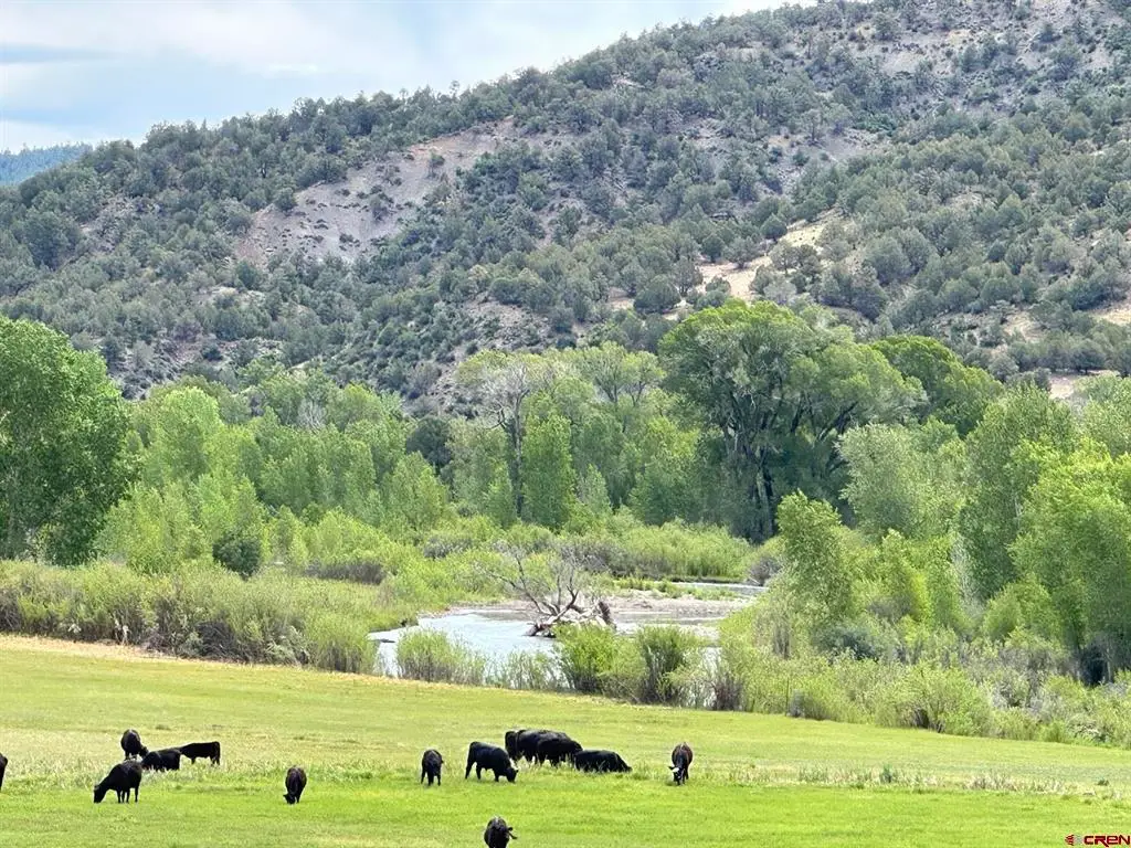 X Usfs Rd 613, Arboles, CO 81147 - #1