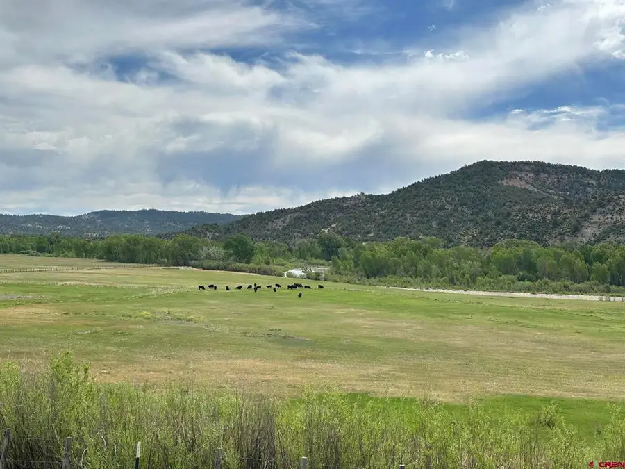 X Usfs Rd 613, Arboles, CO 81147 - #2