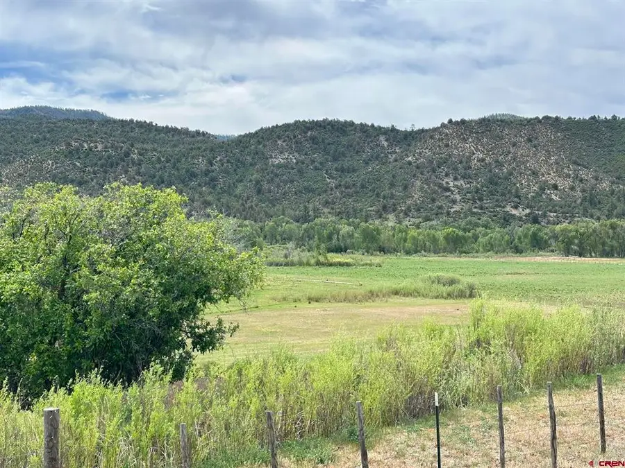 X Usfs Rd 613, Arboles, CO 81147 - #3
