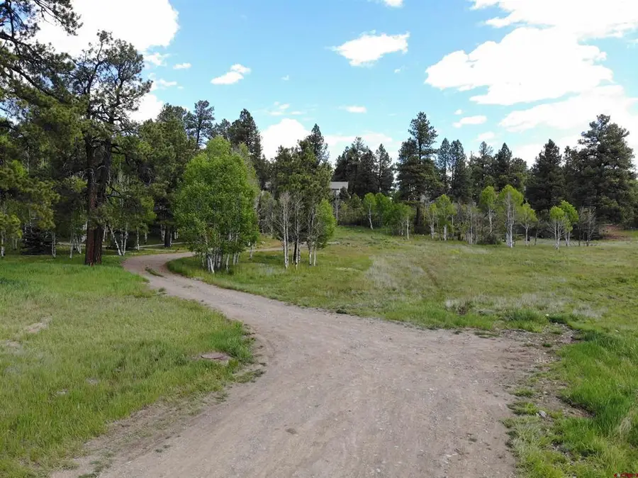 70 Overlook Court, Pagosa Springs, CO 81147 - #2