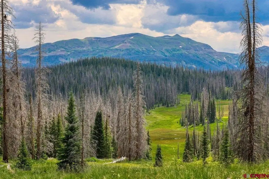 TBD Stunner Pass, Platoro, CO 81120 - #3