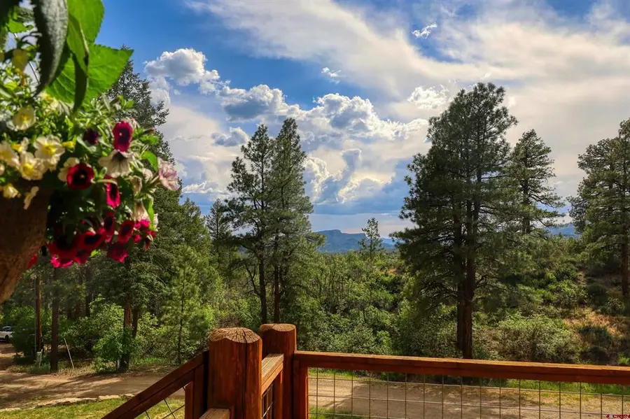 1083 Deer Trail, Pagosa Springs, CO 81147 - #3