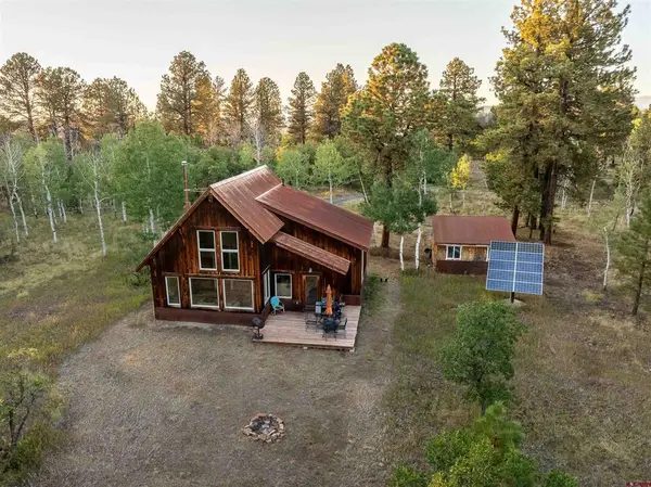 150 W Piney Woods Way, Placerville, CO 81430
