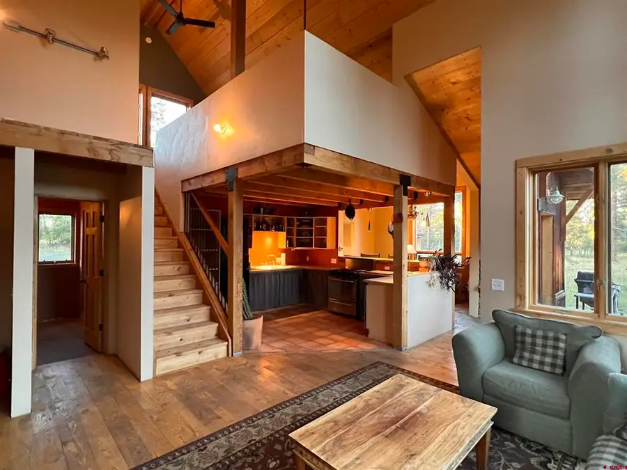 150 W Piney Woods Way, Placerville, CO 81430 - #3