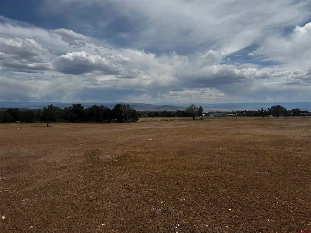 TBD 2550 Road, Cedaredge, CO 81413 - #1