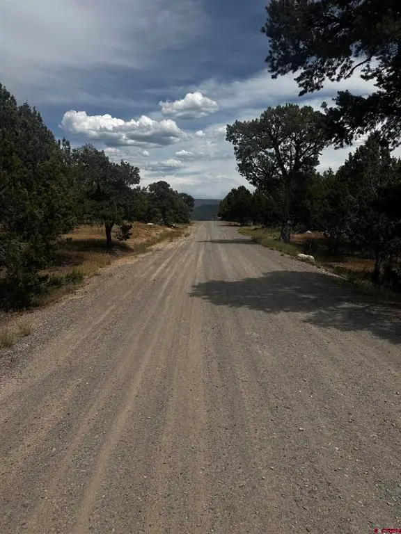 TBD 2550 Road, Cedaredge, CO 81413 - #2