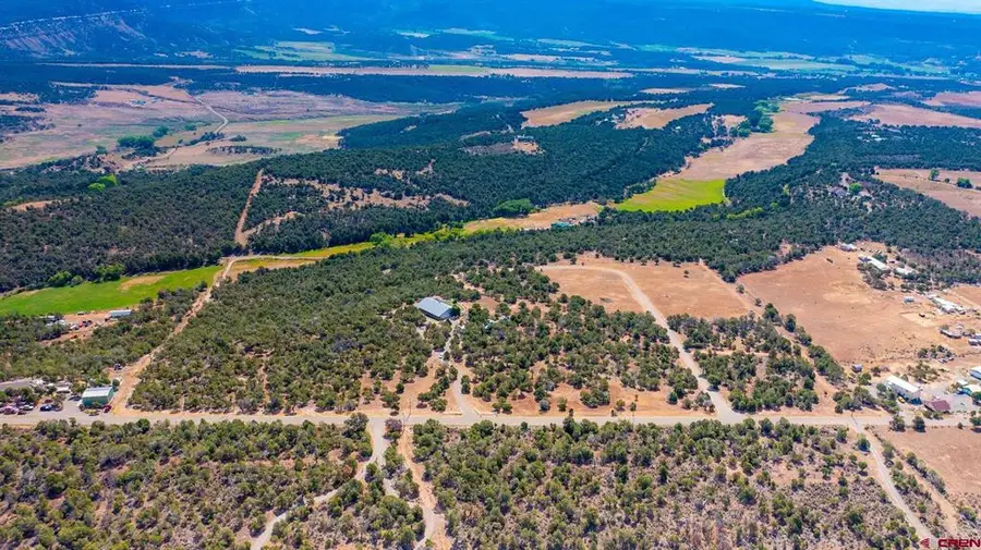 TBD 2550 Road, Cedaredge, CO 81413 - #3