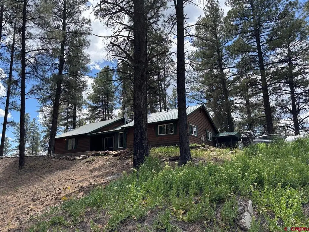276 Cactus Drive, Pagosa Springs, CO 81147 - #1