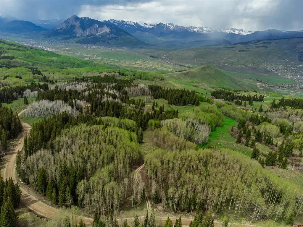 1250 Red Mountain Ranch Upper Loop, Crested Butte, CO 81224 - #1