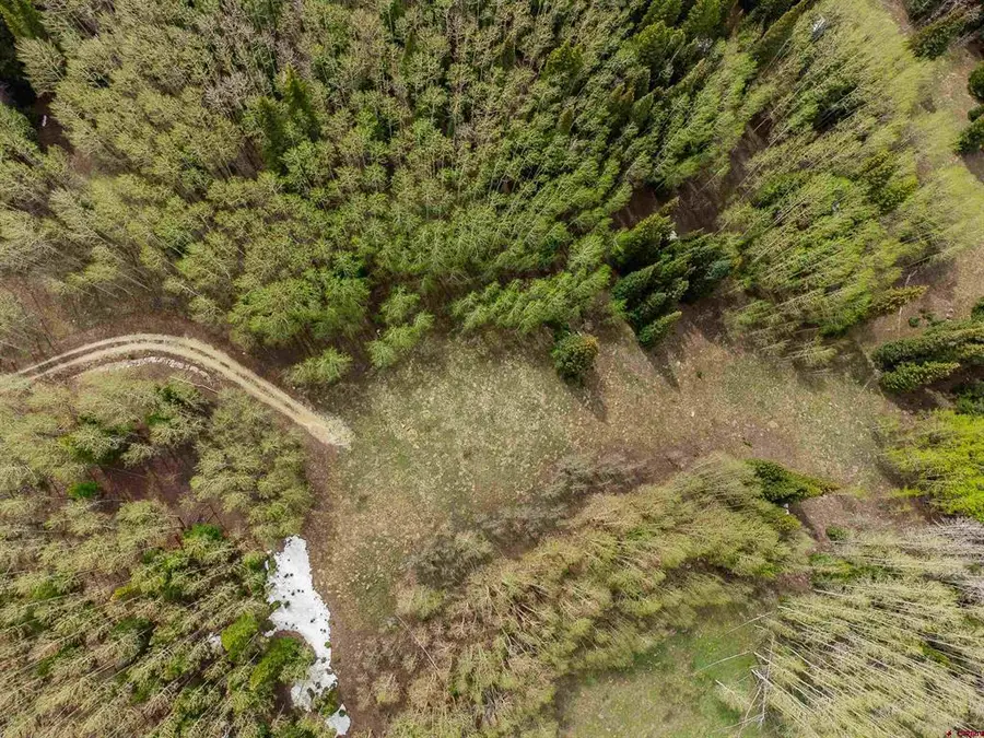 1250 Red Mountain Ranch Upper Loop, Crested Butte, CO 81224 - #2