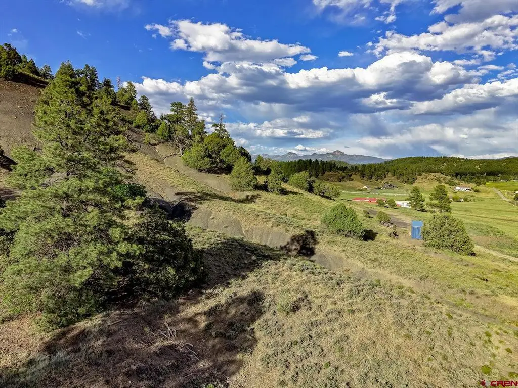 125 Dandelion Court, Pagosa Springs, CO 81147 - #1