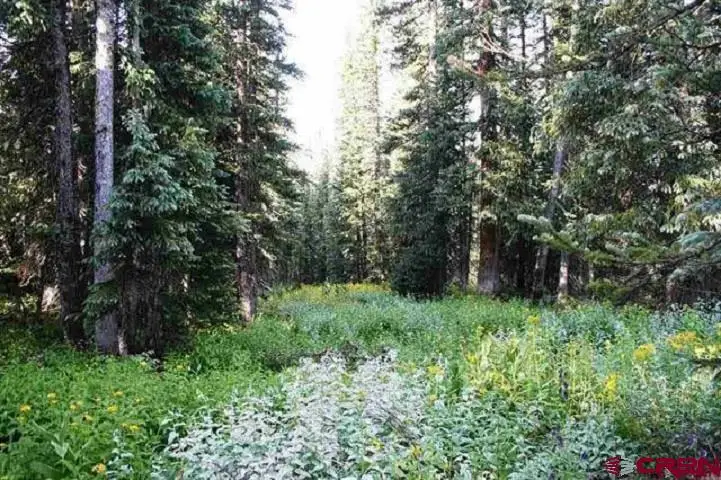 TBD Ruby Silver Road, Crested Butte, CO 81224 - #3