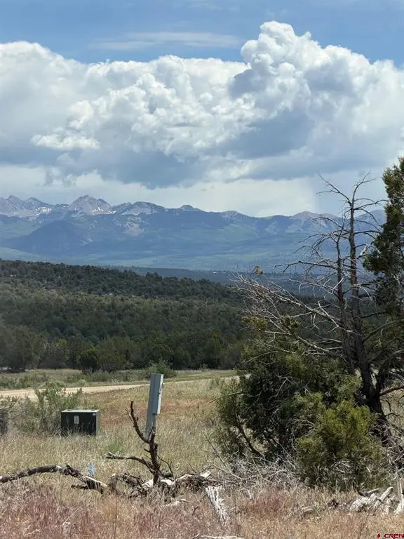 TBD Road J.9, Mancos, CO 81328 - #2