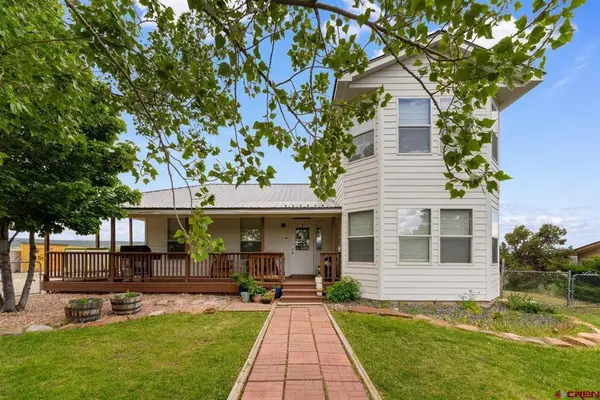 50 Pioneer Circle, Norwood, CO 81423