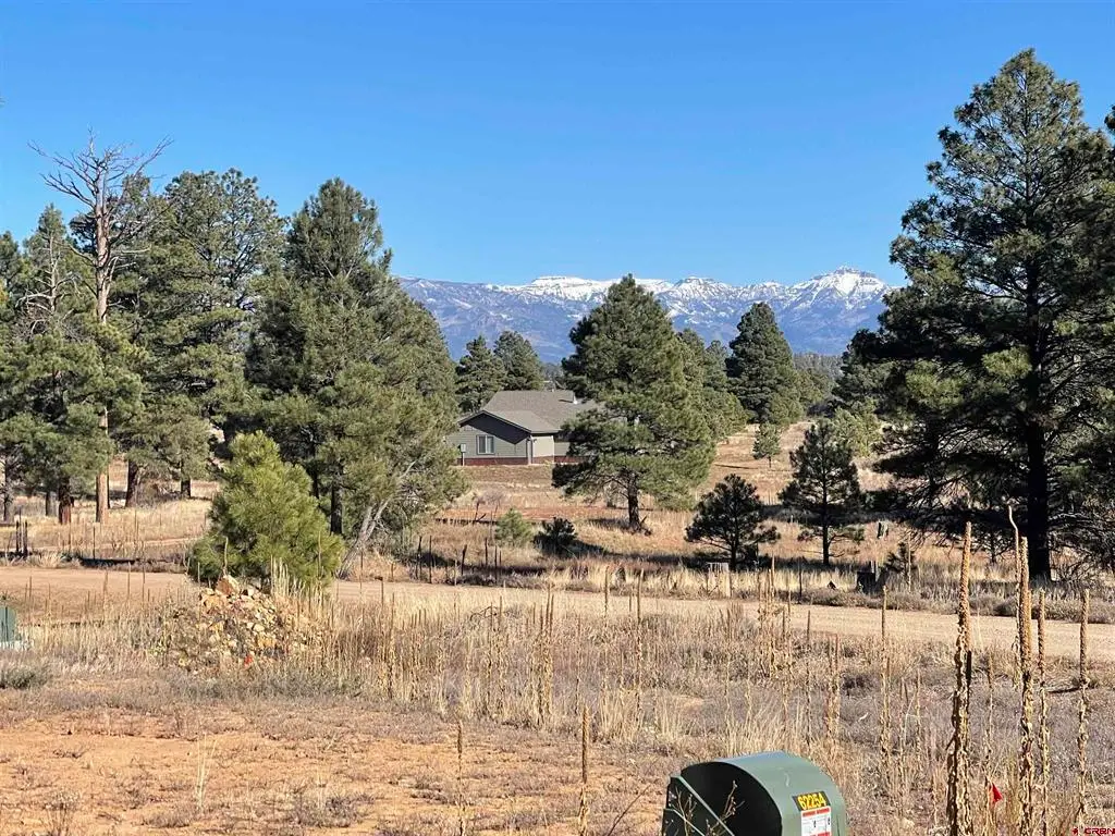 157 Mansions Circle, Pagosa Springs, CO 81147 - #1