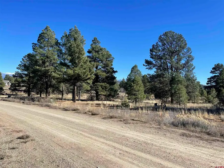 157 Mansions Circle, Pagosa Springs, CO 81147 - #2