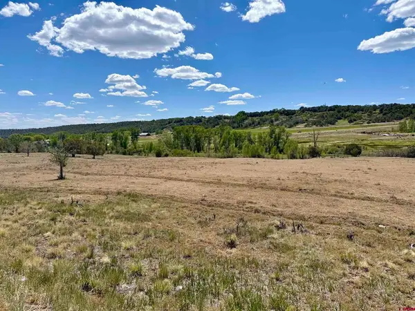 1366 Wrangler Way, Durango, CO 81303