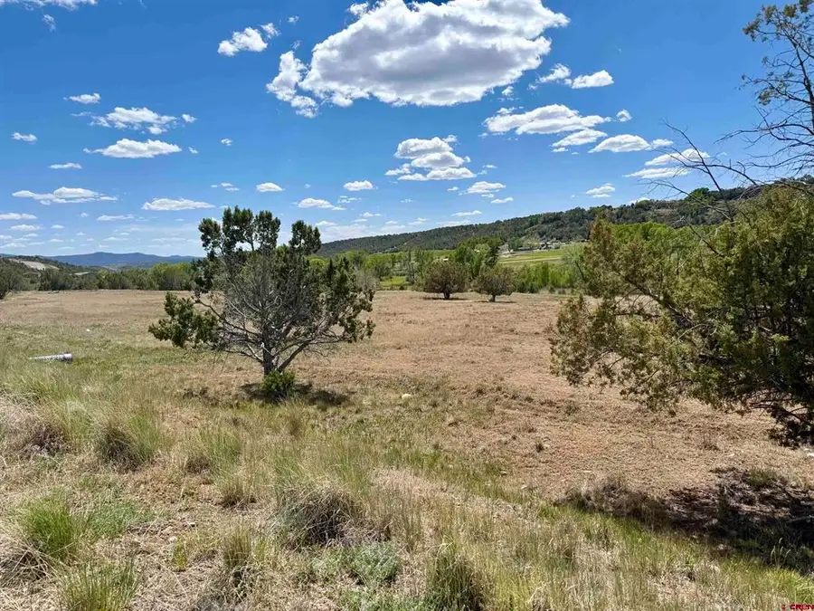 1366 Wrangler Way, Durango, CO 81303 - #2