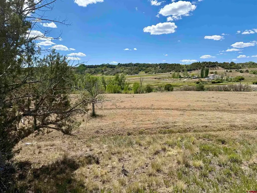 1366 Wrangler Way, Durango, CO 81303 - #3