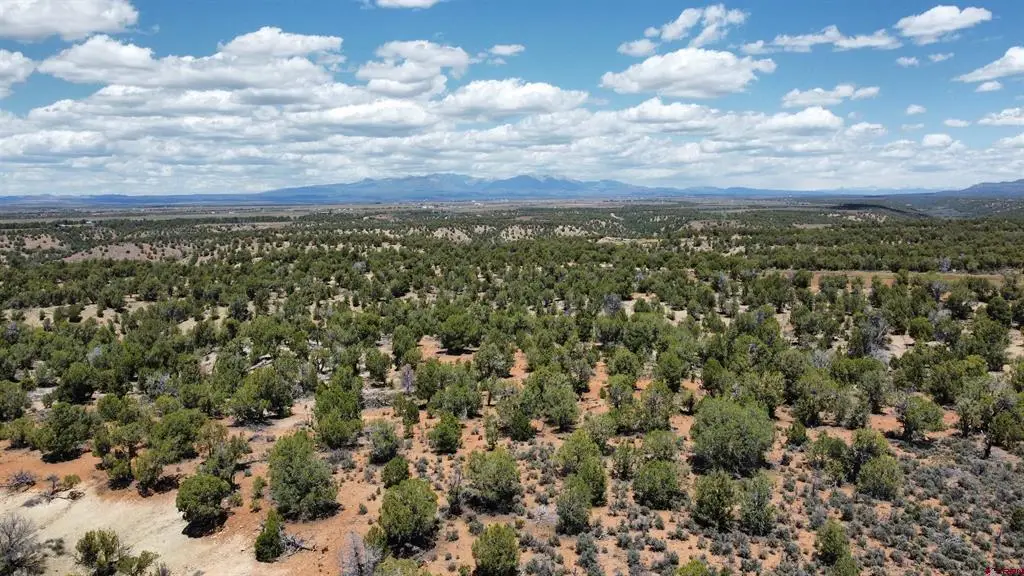 4001 Cr 136, Durango Southwest, CO 81122 - #1