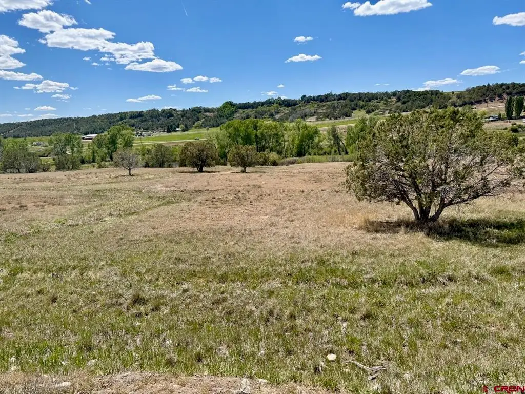 1424 Wrangler Way, Durango, CO 81303 - #1