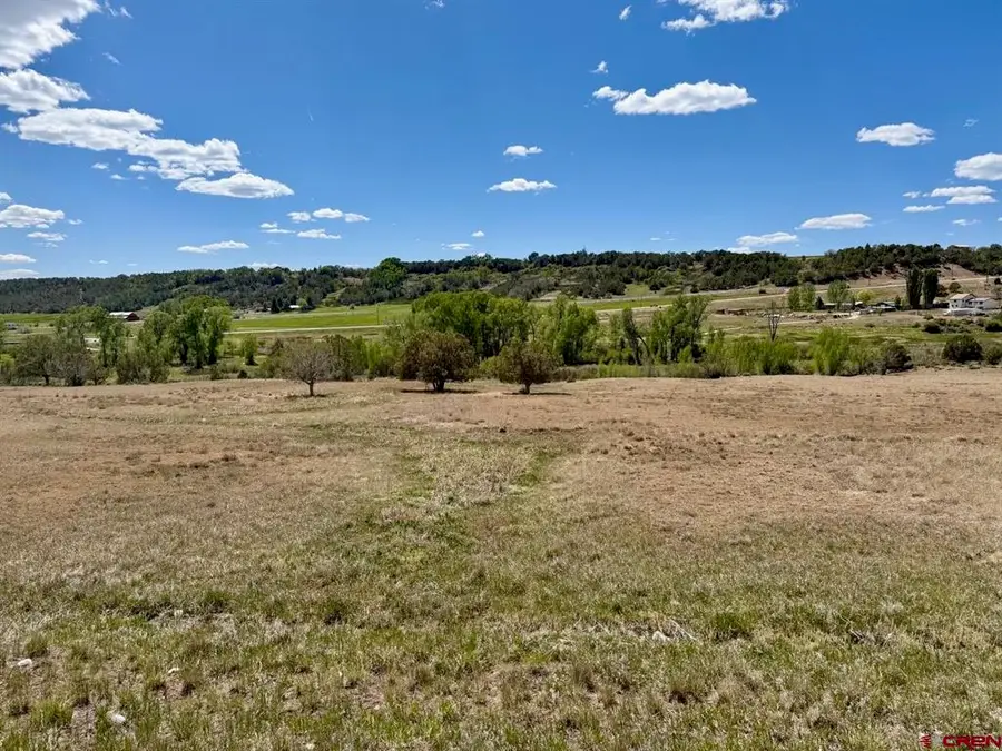 1424 Wrangler Way, Durango, CO 81303 - #3