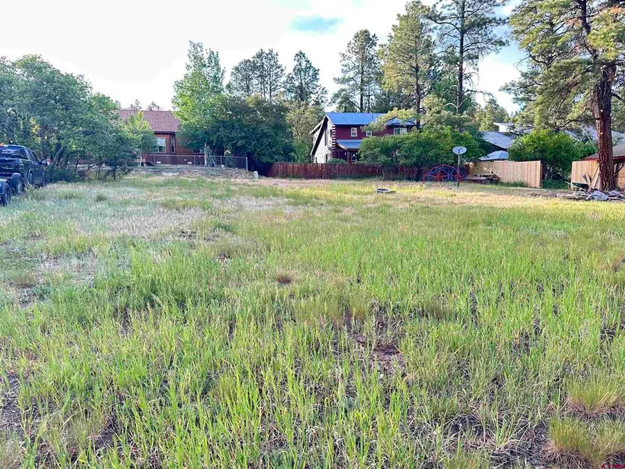 154 Dayspring Place, Pagosa Springs, CO 81147 - #2