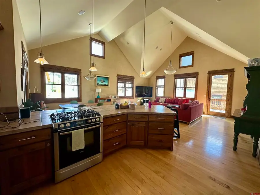 111 Alpine Court, Crested Butte, CO 81224 - #2
